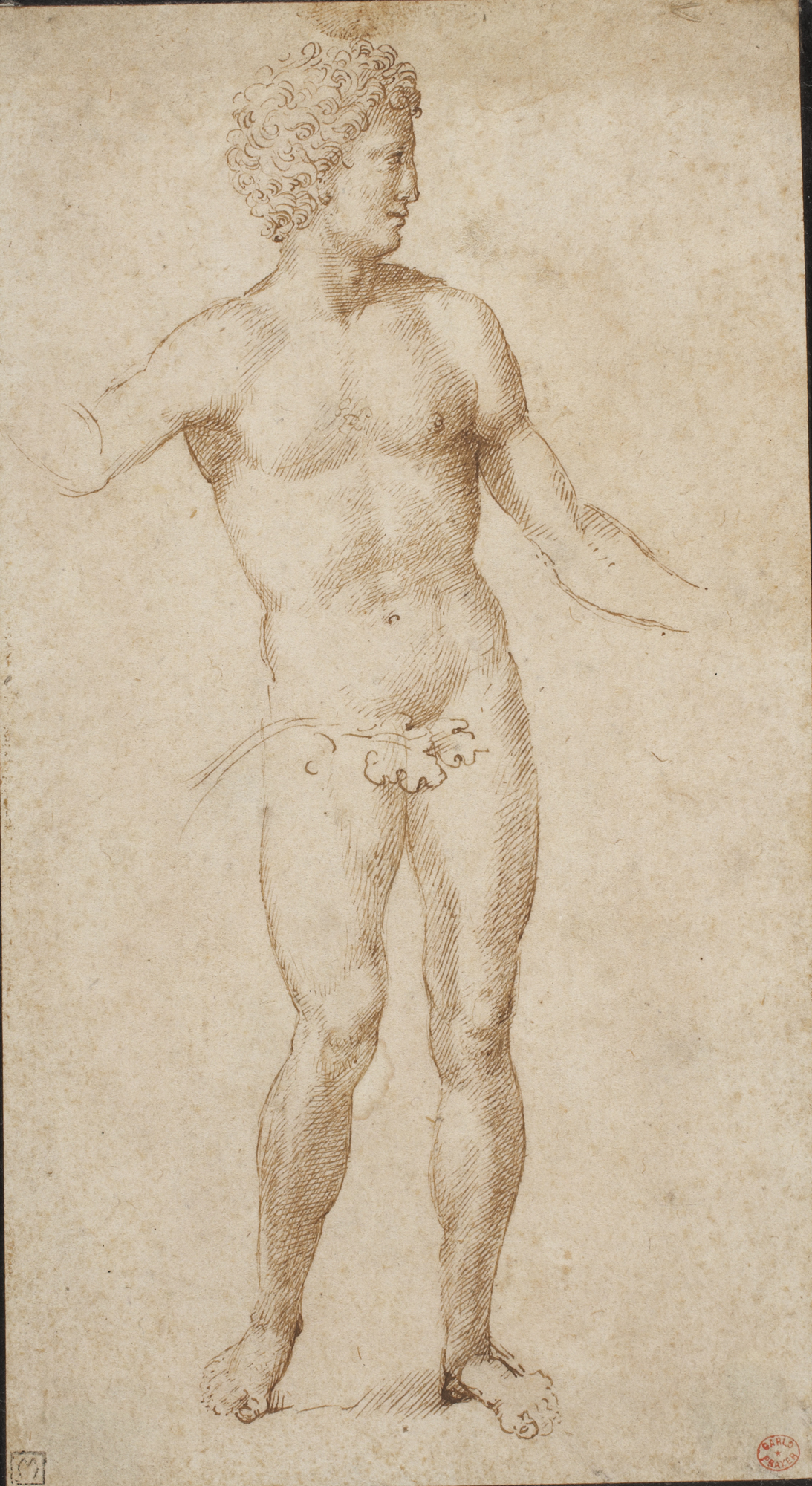 Marcantonio Raimondi (Italian, 1470/82–1527/34), after Albrecht Dürer (German, 1471–1528), Adam, 1505–9. Brown ink on light tan paper, 19.5 x 10.9 cm. Gift of Frank Jewett Mather Jr. (x1945-47)